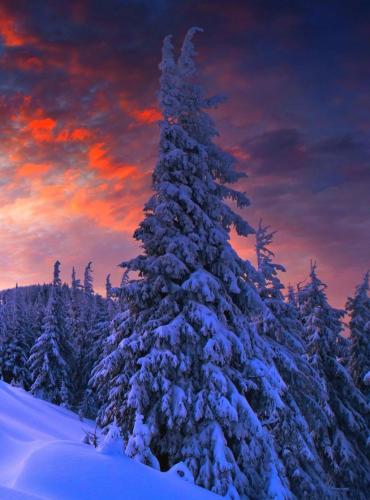 RDT_20251208_0231154444373791243517753