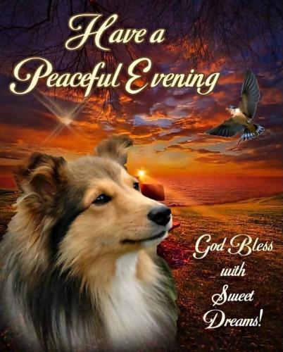 607325181_18036513053743683_2454834401194923282_n