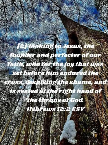 IMG_20251218_171936_709