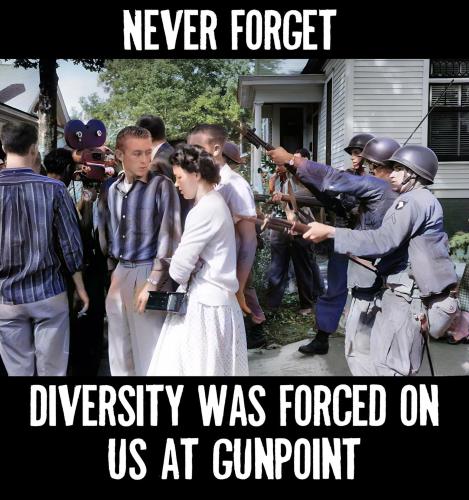 3518948c8c99d71a8bf3facfdc1afed7