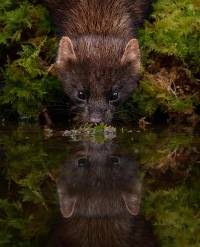 RDT_20251205_220440397434696552098305