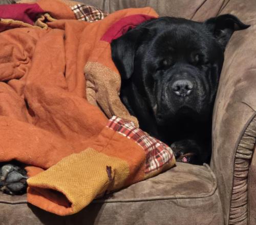 ba48aa42-8459-47d9-a253-00c1ebb57d6d