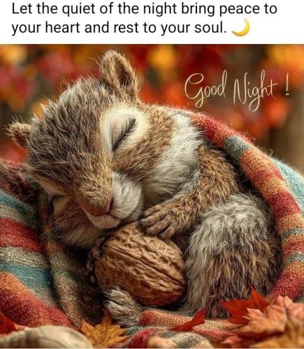 fca5e71bae24ddd91b3f71ea42f52955