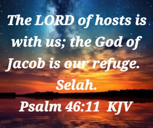 bbe368ab-aa65-4312-8269-d9eeebddb386