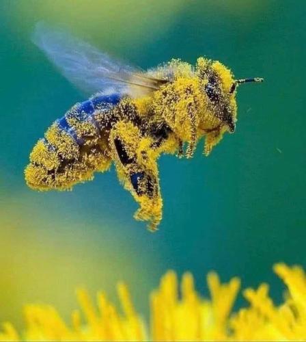 IMG_20251210_063402_537