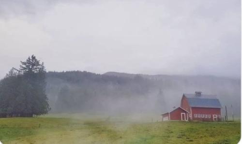 601870227_10240454993500436_1562709186281337267_n