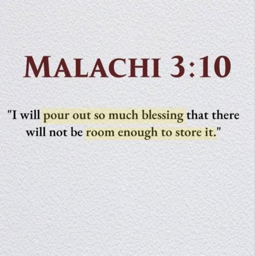 IMG_20251228_112936_349