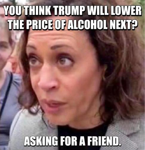 image_5CA231DB-913C-44D0-A557-79EB0EBD4327