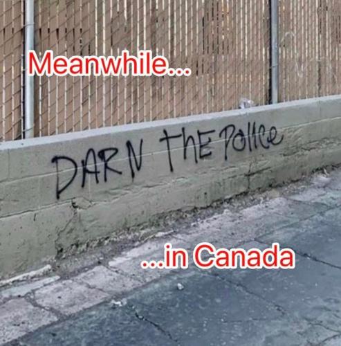 darn-the-police
