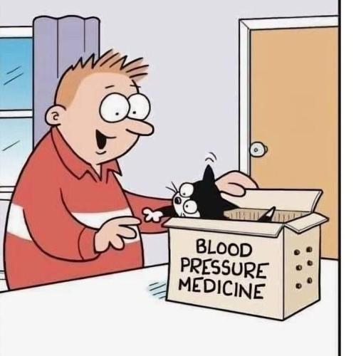 2bfa784a4a47f78d6549629a12352894