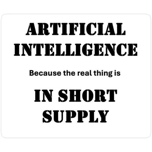 17670033334705357893431951132971_135113057101633