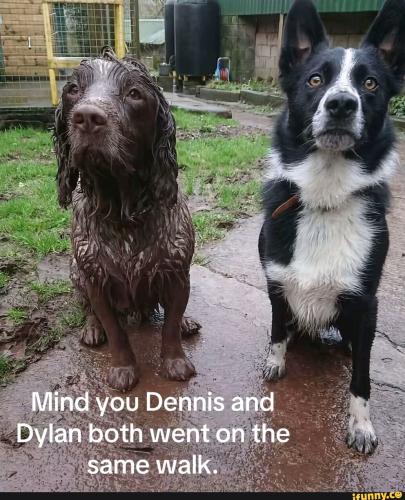 f2e86d4bc6357074486bb2e8d8d3fc3f80f97676bf156f743ba352ee7bbf79e5_1