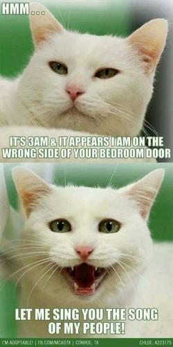 67cab1b612fdafd65fab67ed35dd1821