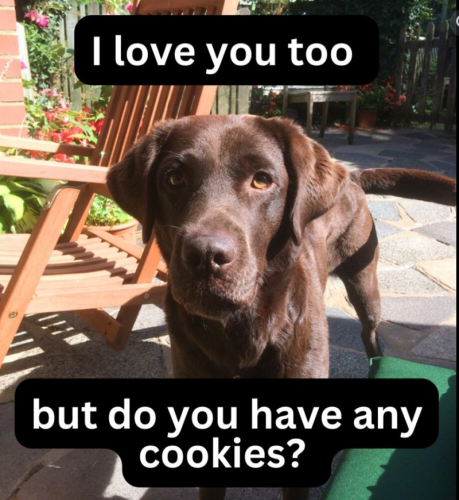 love-too-but-do-have-any-cookies