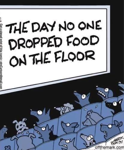 fa7c3943aab20d64591bb21fdd6991f8