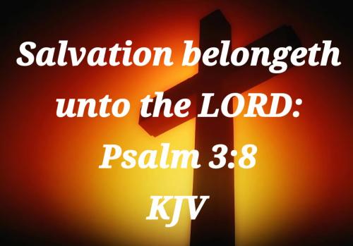 50b423d5-81ad-41a5-a918-e56d60445332