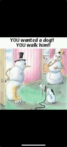 45B5E003-8F48-4941-8F69-402E4A881001-71951-000022A21BBE1540