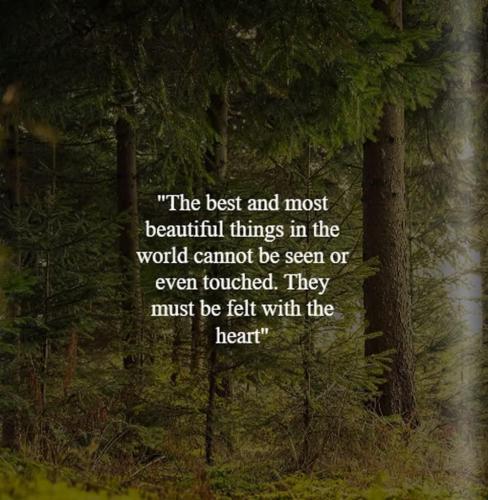 d33153cf-48f2-4311-a960-97ed217da20c