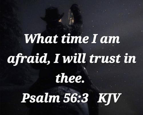 0df1b36a-5a4e-40d0-af20-d15a77efd527