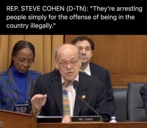 illegal immigration530