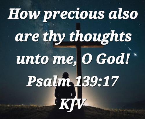 a5cc8267-ca26-4450-b674-492d02267a76