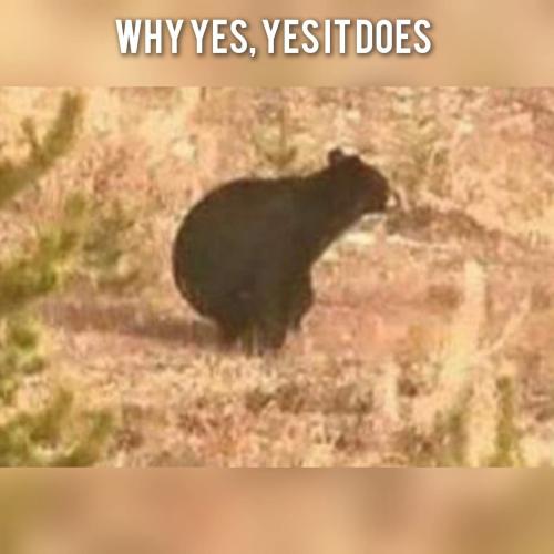 FB_IMG_1766116202145