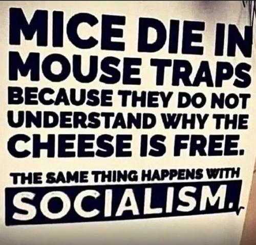 ad75367e3a7f5bf2151ab6519d3901a3