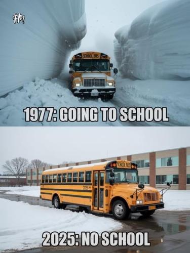 image_0EB9FE3C-ACF0-4DB0-92F3-3614FF7C4878