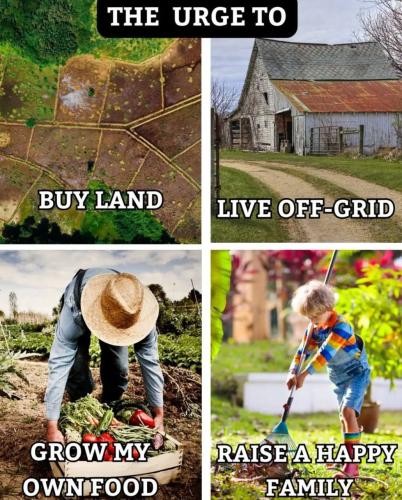 IMG_20251217_102730_791