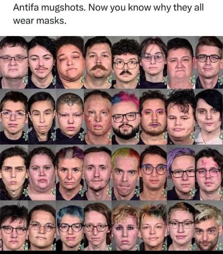 TESTHUB_photos_users_Vr2haps3V1gweEJRs1Qc8QBF4512_-Og8WYq2K5helG6D-D1M_img_rsz__1100x1100