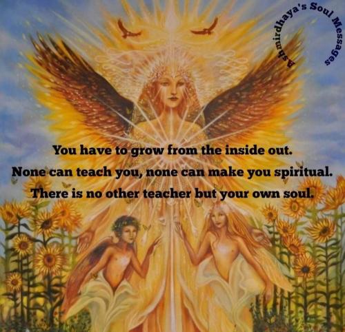 ,          ,  0424775766_746362