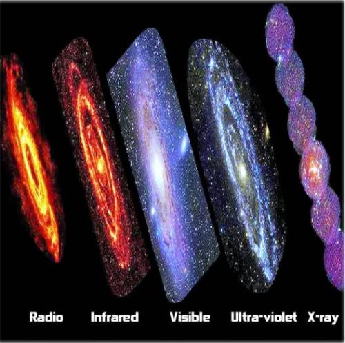 ,     ,       273410949_71196934381