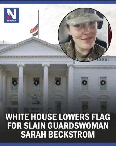 TESTHUB_photos_users_KPBY8Tc46ldqLjWXf6bqxqOW3AR2_-Ofg9EYhc2OavZqr5H-v_img_rsz__1100x1100