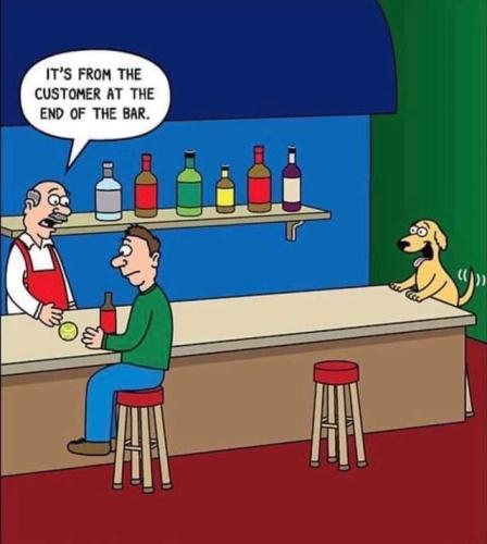 customer-at-end-of-bar