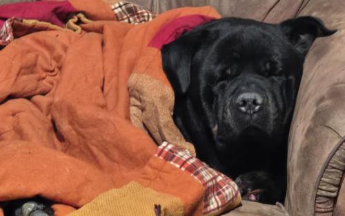 fbcb04c1-3840-4346-b9fd-392ce244b3be