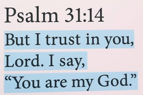 IMG_20251210_110121_041