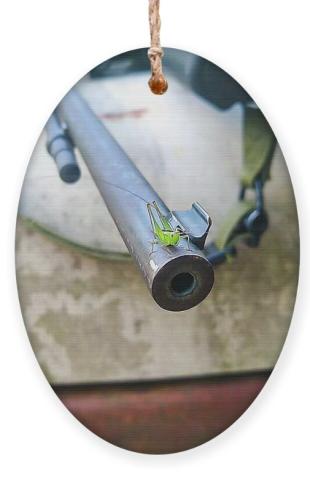 Screenshot_20251217_132846_Brave