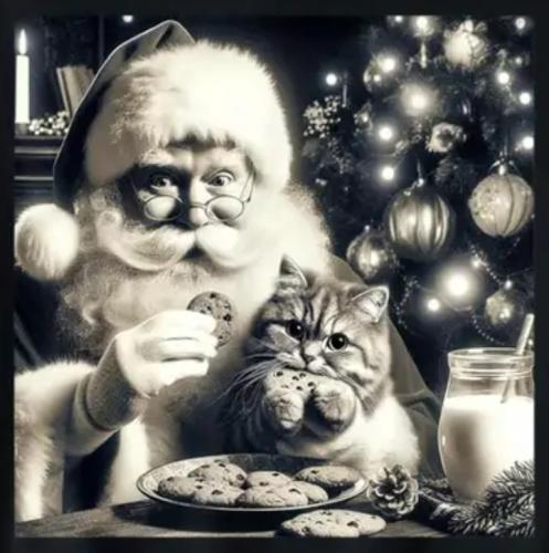 Screenshot_20251220-194542~2