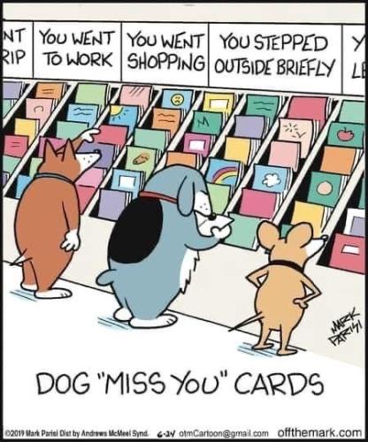 c66198d31d1b5bd80f6d4742c854a8ce