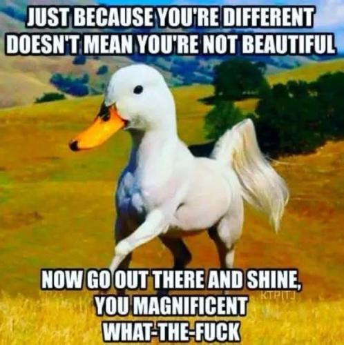 864655DD-289C-49C2-AFFA-D6A06F476194