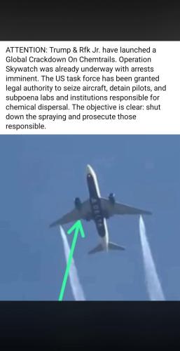 FB_IMG_1766504746000