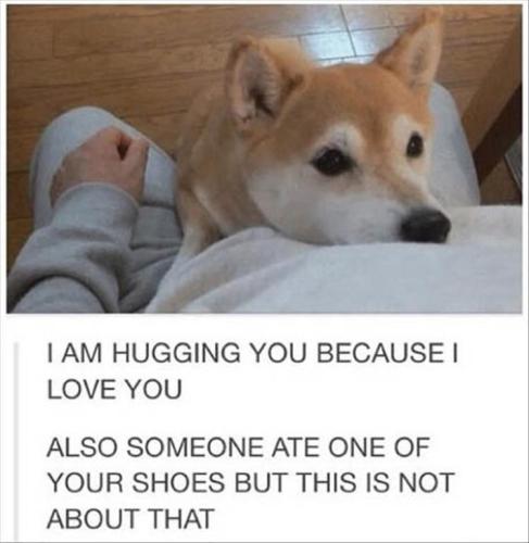 thrusday-meme-with-pic-of-dog-hugging-its-owner-after-eating-a-shoe