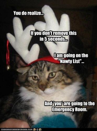 6e778fd160acd2339e37578ff02615ea