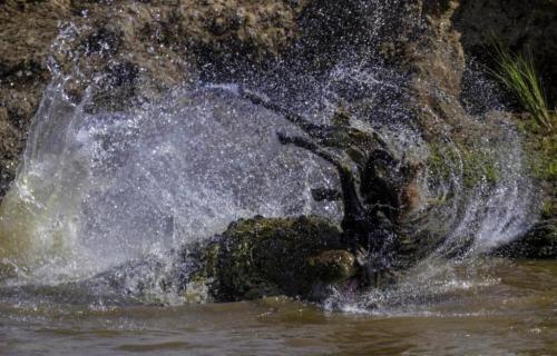 RDT_20251210_1413124956692813538740484