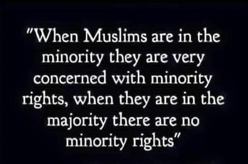 FB_IMG_1764867488671