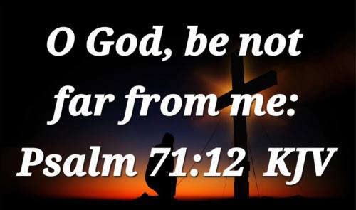 705aed86-6481-4f7b-9e57-66fcf9e3b744