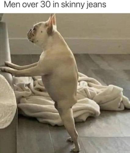 Screenshot_20251218_074747_Gallery