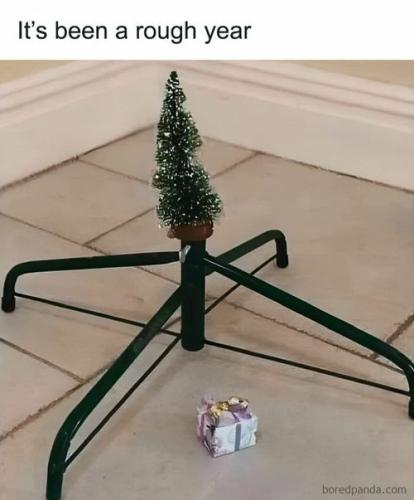 funny-hilarious-christmas-memes-4-6762694838f9f__880