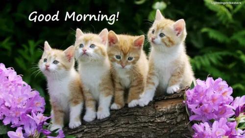 e5065a8b0f1cb59bf6dc3a82d6943996