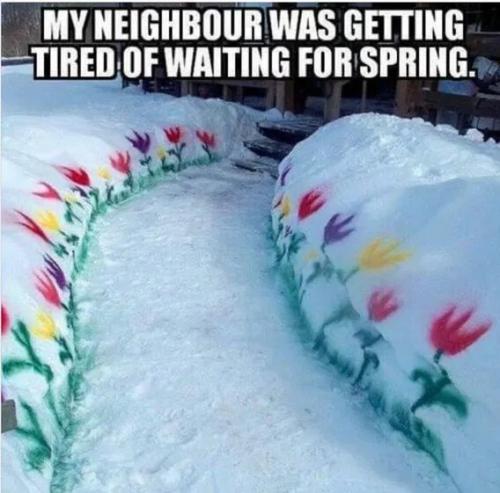 e65615178ed52cc3591131b6cb161ff9